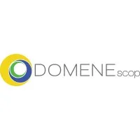 DOMENE (DOMENE) logo