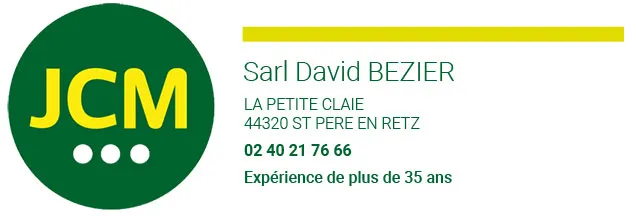 DAVID BEZIER logo