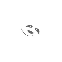 ERSYA logo