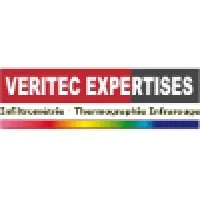 VERITEC EXPERTISES (VERITEC EXPERTISES) logo