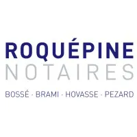 DBB 15 ROQUEPINE logo