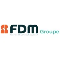 FDM GROUPE (FDM CONSULTANTS) logo
