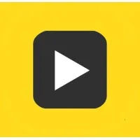 VIDEO IN (VIDEO IN) logo