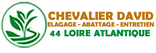 CHEVALIER DAVID logo