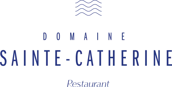 DOMAINE SAINTE CATHERINE logo