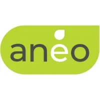 Voici le logo de la marque ANEO qui représente son identité graphique.