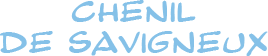LETICHIENS logo