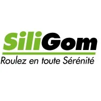 PNEUS DES OLONNES logo