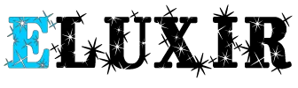 STEPHANUS ERIC logo