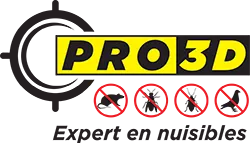 Voici le logo de la marque PRO-3D (PRO-3D) qui représente son identité graphique.