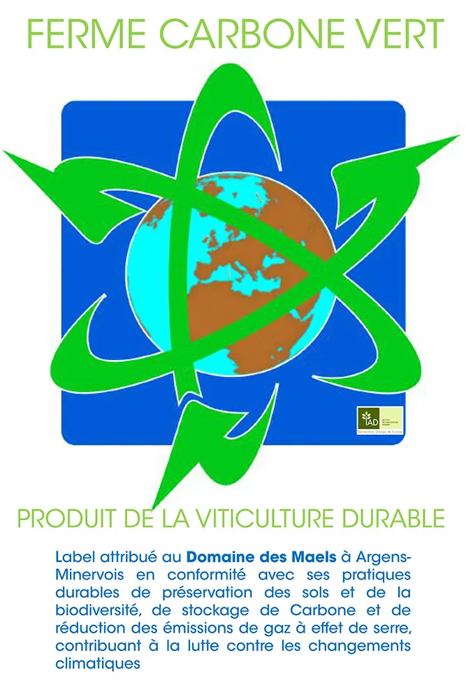DOMAINE DES MAELS logo