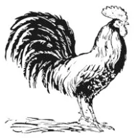 SANDY TOURS (SANDY TOURS) logo