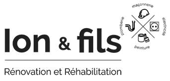ION & FILS (ION & FILS) logo