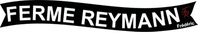 REYMANN SERVICE logo