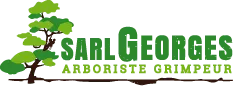GEORGES logo