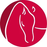 FS MEDIAPROD (FRANCE SIRE) logo
