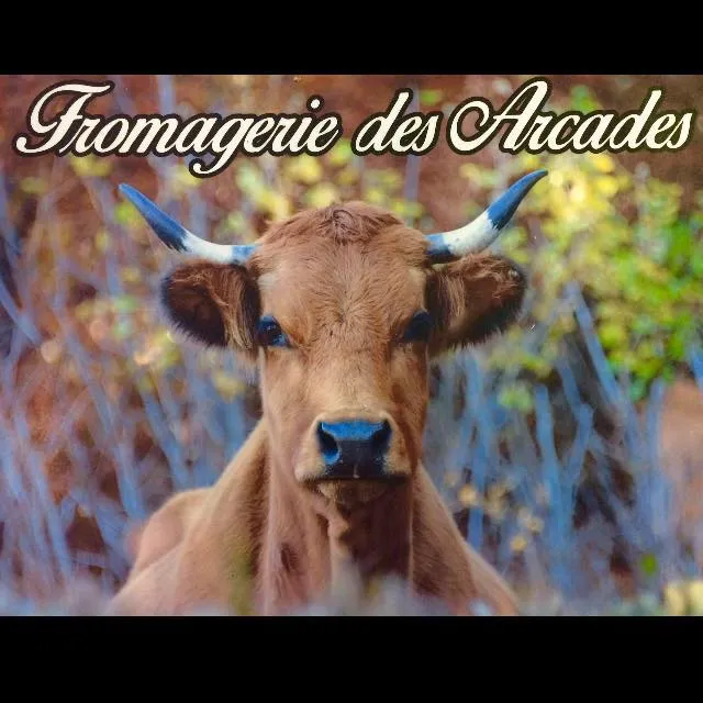 LIMBARINU FREDERIC (Boucherie Des Arcades) logo