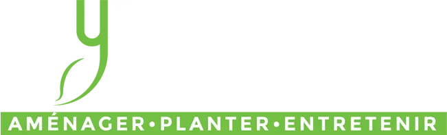 FOYER-DUMOUCHEL logo