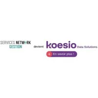 SERVICES NETWORK PAIE logo