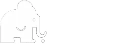 PETER FLEMING HI TECH SOLUTIONS logo