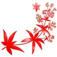 GARANCE logo