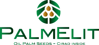 PALMELIT SAS logo
