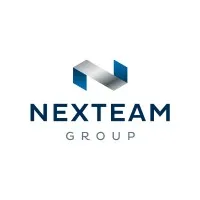 NEXTEAM SERVICES logo