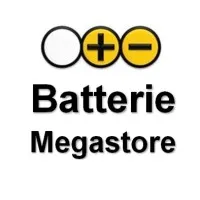 BATTERIE MEGASTORE FRANCE logo
