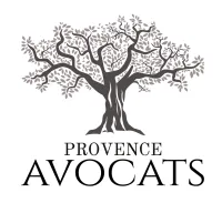AYOUN BENJAMIN logo