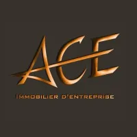 ACE IMMOBILIER D'ENTREPRISE AUDIT CONSEIL EXPERTISE (ACE IMMOBILIER D'ENTREPRISE) logo
