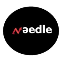 NEEDLE logo