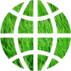AUBER SOPHIE CHANTAL MARIE logo
