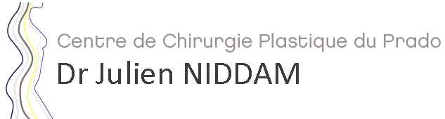 NIDDAM JULIEN logo