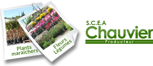 Voici le logo de la marque SCEA EXPLOITATION PRODUCTION CHAUVIER qui représente son identité graphique.