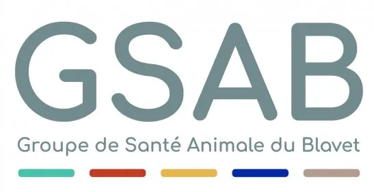 SAS DES VETERINAIRES BRETAGNE SUD logo