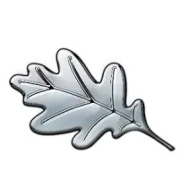 KAPITAL TRANSACTIONS (KAPITAL TRANSACTIONS) logo