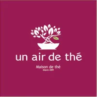 THEORY (UN AIR DE THE) logo