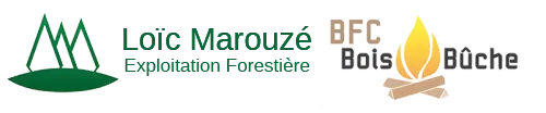 MAROUZE LOIC logo