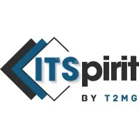 IT SPIRIT logo
