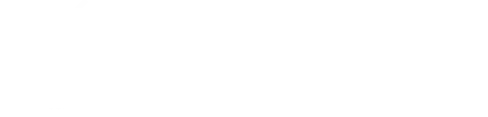 AEROBULLE logo