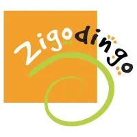 ZIGODINGO logo