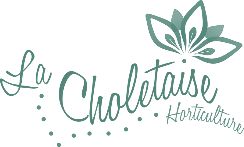 LA CHOLETAISE logo