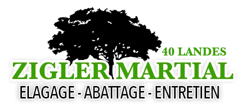 ZIGLER MARTIAL logo