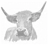 LA FERME DE LA MARSAUDERIE logo