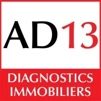ACTIVE DIAG13 logo
