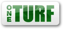 DATA DIFFUSION SERVICE (DDS) logo
