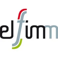 ELFIMM CONSEIL logo