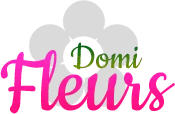 DOMINIQUE logo