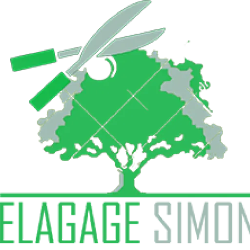 SIMON JEAN-BAPTISTE logo