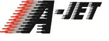 NATC (NAILS AND THE CITY) logo